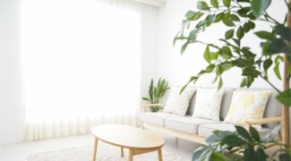 Brilliant Ways To Keep Your Home Cool Without Air Conditioning