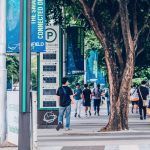 Green Field | trees, people, outdoor
