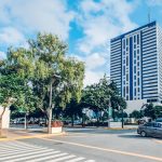 Green Field | building, trees, street